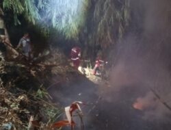 Kurang dari Satu Jam, Tim Gabungan Berhasil Lokalisir Kebakaran Lahan di Cisaat
