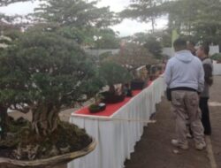 Festival Bonsai Nasional 2026 di Sukabumi Masuk Agenda Utama Hari Jadi Kabupaten