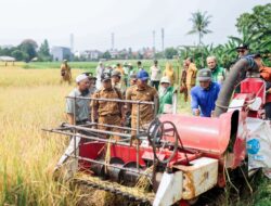Panen Raya di Katulampa, Kota Bogor Dukung Swasembada Pangan